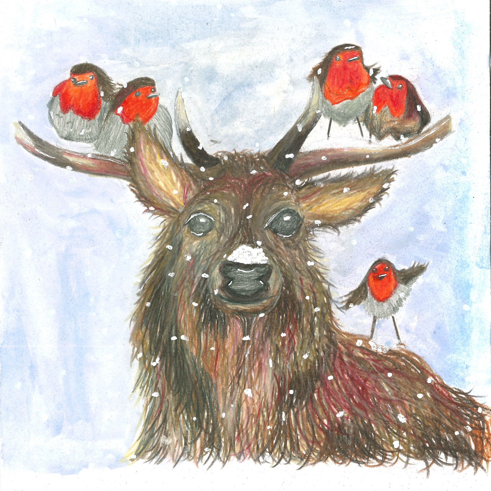 KS4 Winner Gaby's Reindeer Christmas Card