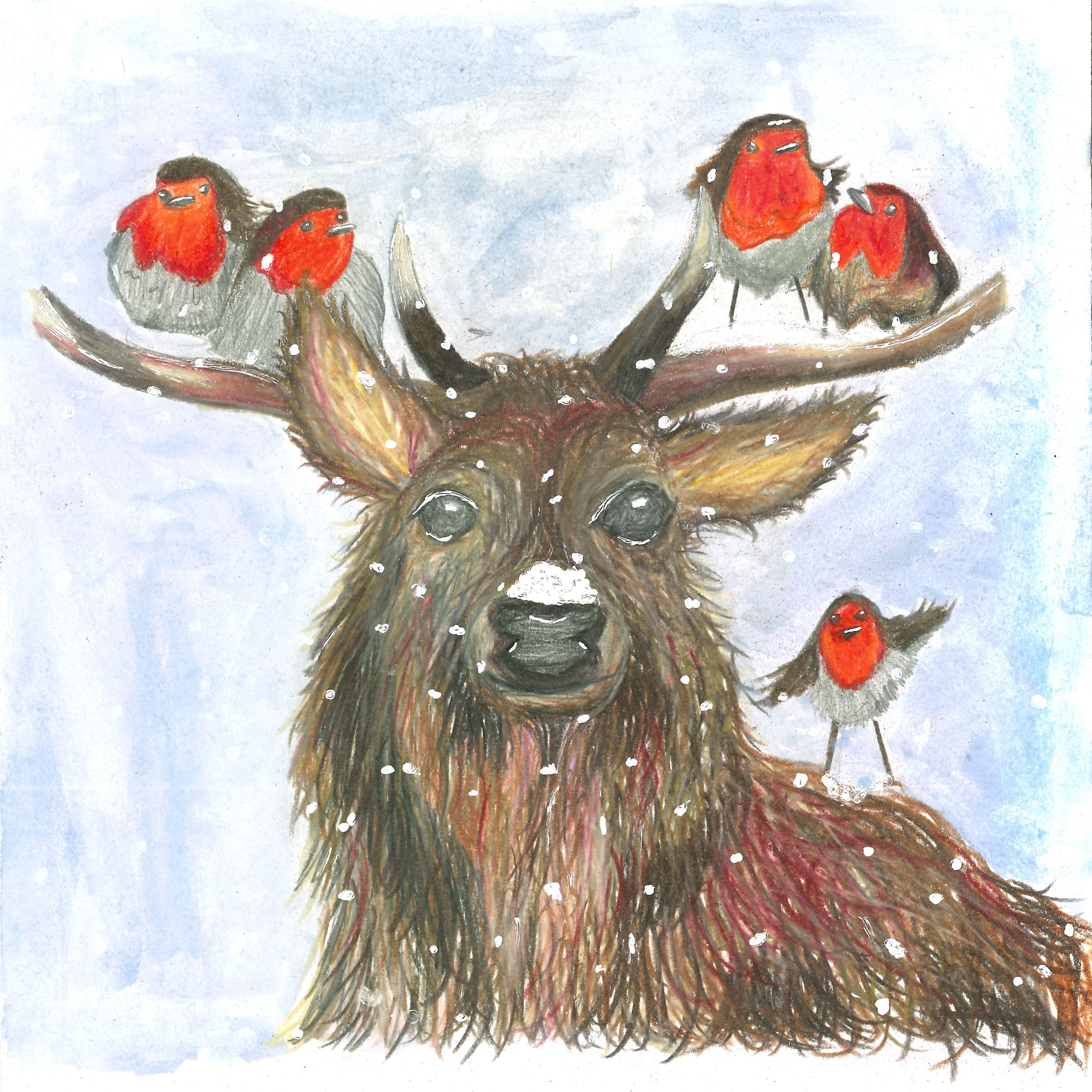 KS4 Winner Reindeer & Robins Design