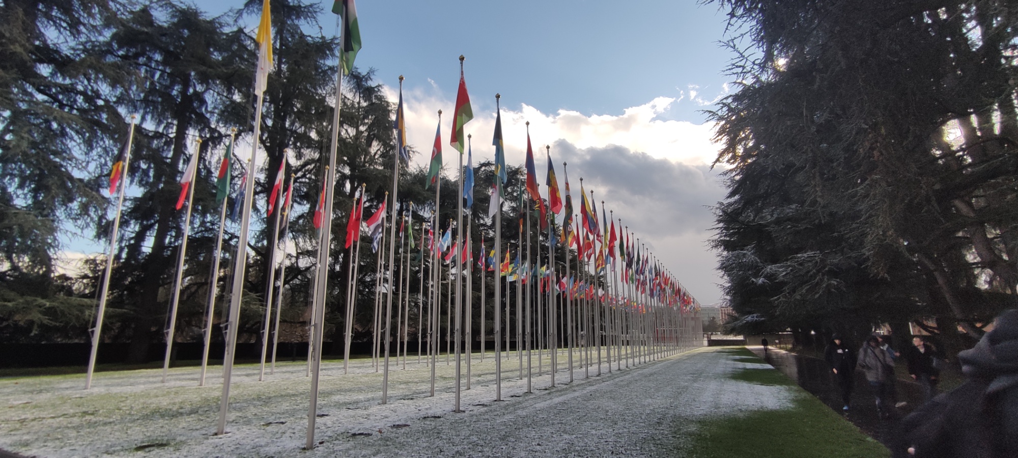 UN Member Flags