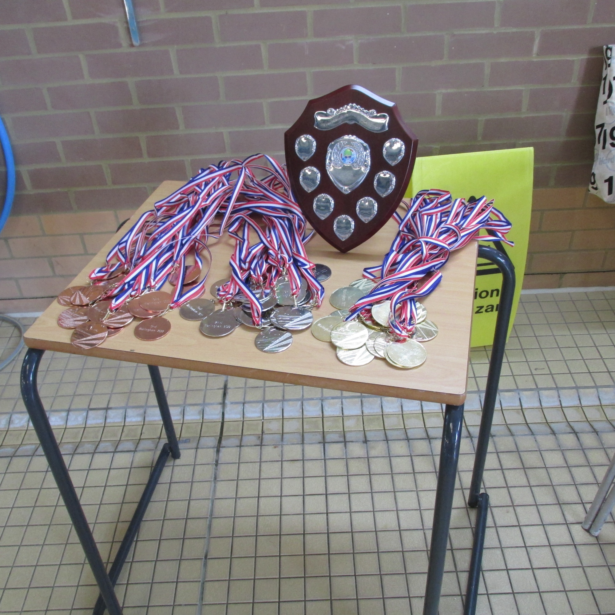 Medals at Warlingham Swimming Gala